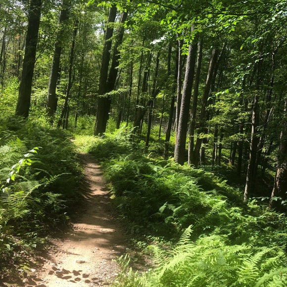 Listing Details - Picture 4 of 10